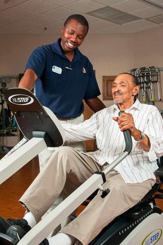 North Shore Therapists
