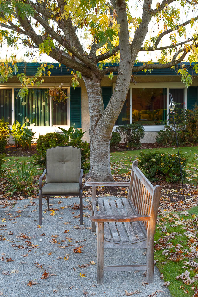 Coos Bay Patio Bench